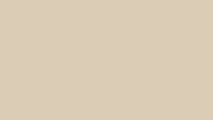 Press conference, man speaking
